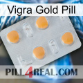 Vigra Gold Pill 24